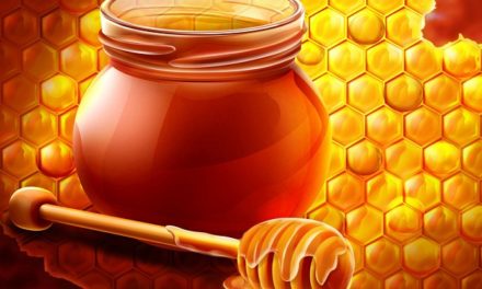 فيديو – عسل النحل